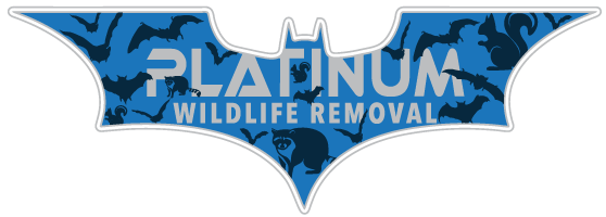 East China Wildlife Removal